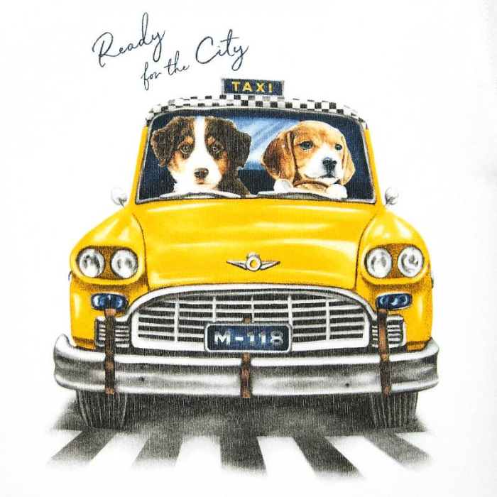 detail Dětské chlapecké tričko s potiskem MAYORAL