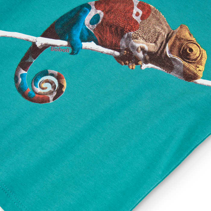 detail Dětské chlapecké tričko BOBOLI