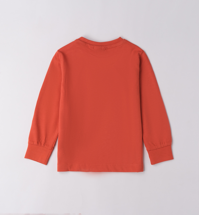 detail Chlapecké tričko s potiskem medvěda SARABANDA