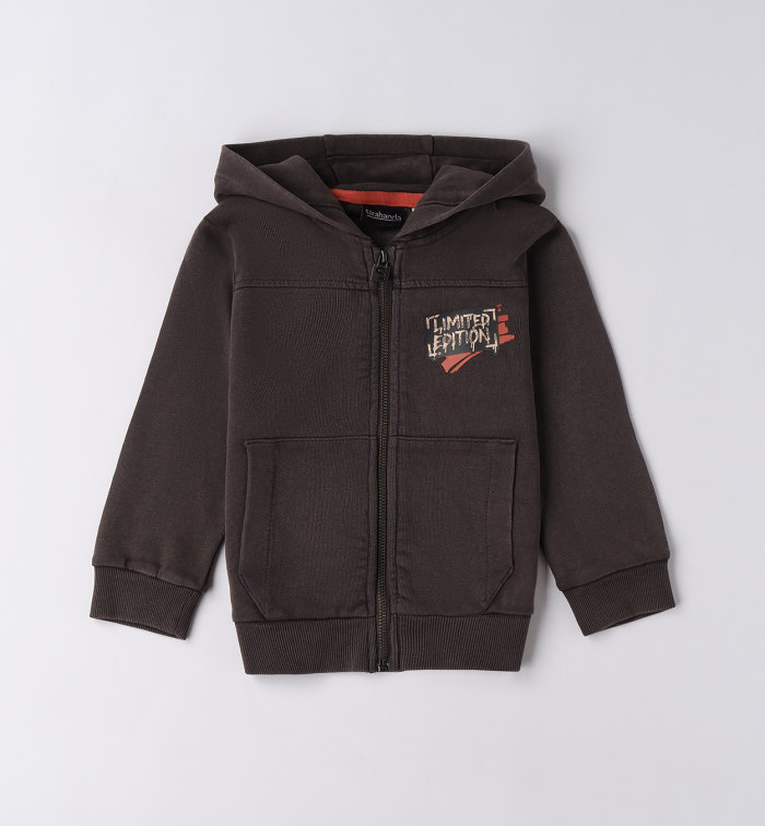 detail Chlapecká mikina s kapucí a nápisem LIMITED EDITION SARABANDA