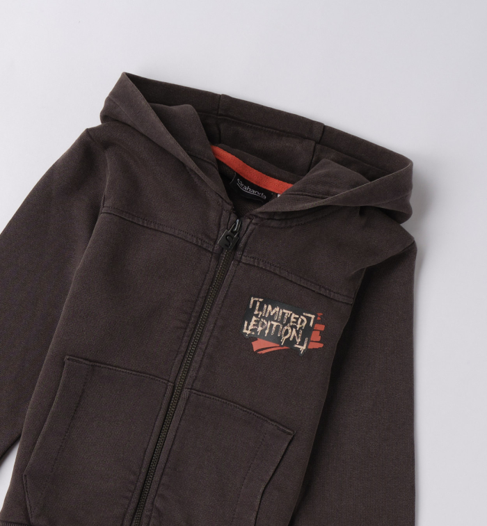 detail Chlapecká mikina s kapucí a nápisem LIMITED EDITION SARABANDA