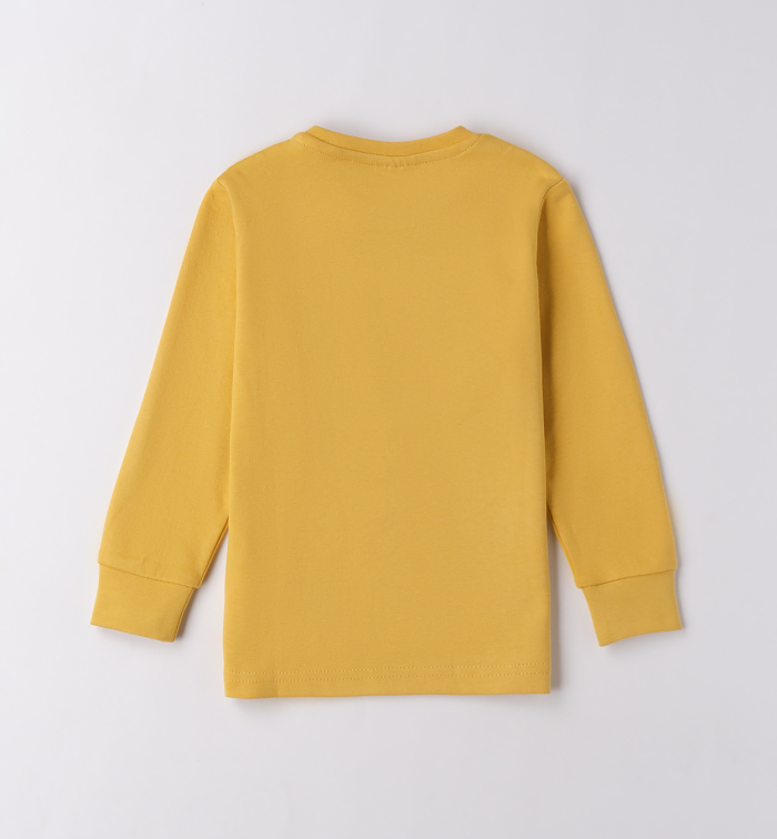 detail Chlapecké tričko s dlouhým rukávem a nápisem BEAR SARABANDA